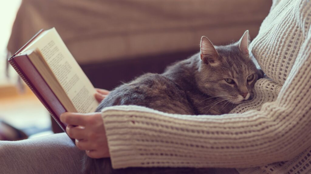 無職の仕事は読書で良い